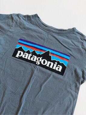Patagonia Kids Short Sleeve Logo Tee in Slate Blue-Gray with Multicolor Stripe